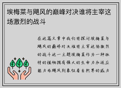 埃梅菜与飓风的巅峰对决谁将主宰这场激烈的战斗